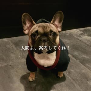 人間よ、案内してくれ！ - Desayuno Jazz Playlist