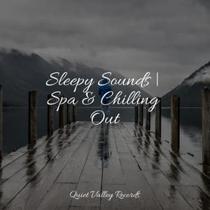 Sleepy Sounds | Spa & Chilling Out - Relaxation