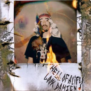 HELL OF A LIFE - LOOK DAMIEN!