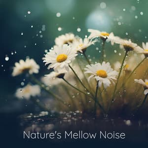 Nature's Mellow Noise - Natural Sound Makers