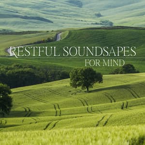 Restful Soundsapes for Mind: Rebalance Yourself, Therapy for Relaxation, Remove Bad Emotions - Body Harmony Music Consort