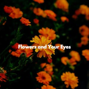 Flowers and Your Eyes - Classic French Jazz