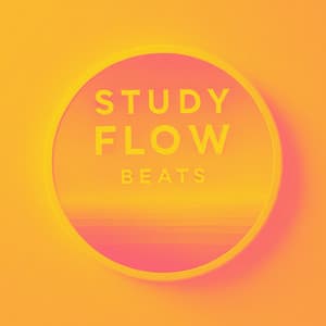 Mindful Study Beats: Ambient Lofi for Work & Learning - Study Flow Beats