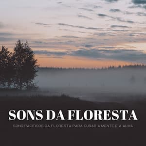 Sons Da Floresta: Sons Pacificos Da Floresta Para Curar A Mente E A Alma - Música Relax para Bares