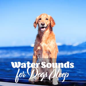 Water Sounds for Dogs Repose - Asha Age