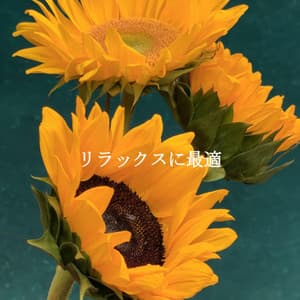 リラックスに最適 - Relaxing Piano Music Cool