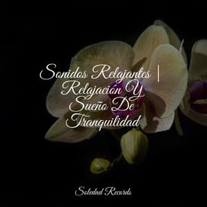 Sonidos Relajantes | Relajación Y Sueño De Tranquilidad - Canção de Ninar Bebê