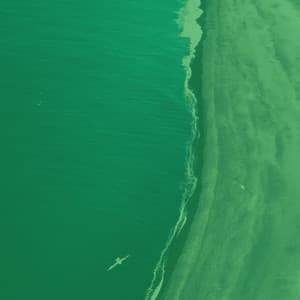 Feelings for Taking Notes - Happy Coffee Shop Music