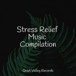 Stress Relief Music Compilation - Ambient Music Therpy