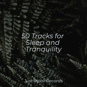 50 Tracks for Sleep and Tranquility - Nature Sound Collection