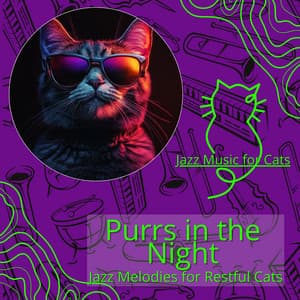 Purrs in the Night: Jazz Melodies for Restful Cats - Jazz Music for Cats