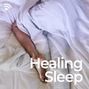 Healing Sleep - Natural Healing Music Zone