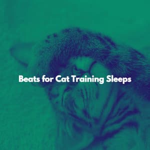 Beats for Cat Training Sleeps - Relaxing Instrumental Jazz Cafe