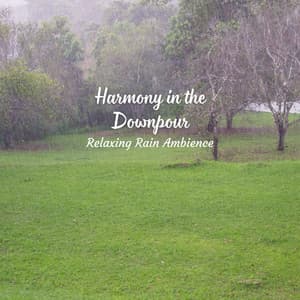Harmony in the Downpour: Relaxing Rain Ambience - About A Sudden Rainstorm