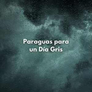 Paraguas Para Un Día Gris - Sonidos de Lluvia para Relajarse