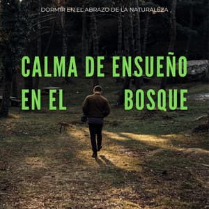 Calma De Ensueño En El Bosque: Dormir En El Abrazo De La Naturaleza - Madre naturaleza