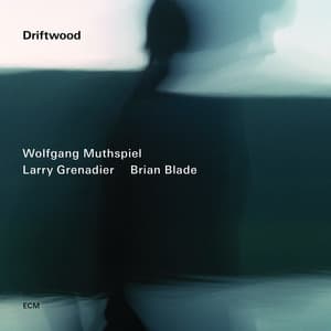 Driftwood - Wolfgang Muthspiel