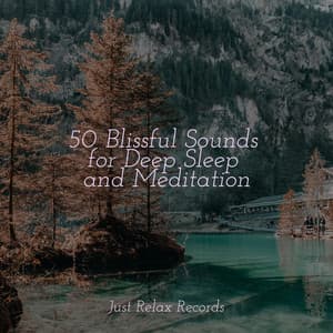 50 Blissful Sounds for Deep Sleep and Meditation - Musica Romantica Ensemble