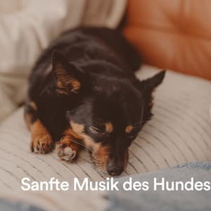 Sanfte Musik des Hundes - Entspannende Musik für Hunde