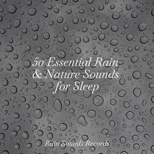 50 Essential Rain & Nature Sounds for Sleep - Ocean Waves For Sleep