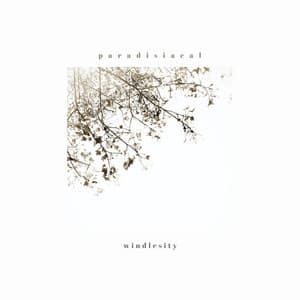 paradisiacal - windlesity
