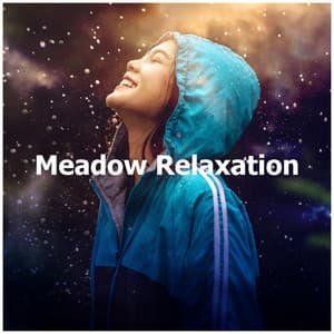 Meadow Relaxation - Sound FX Pro