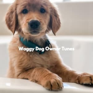 Waggy Dog Owner Tunes - Doggy Music Radio