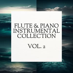 Flute & Piano Instrumental Collection, Vol. 2 - Everyday New Music