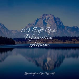 50 Soft Spa Relaxation Album - Water Sounds for Sleep