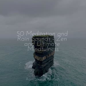 50 Meditation and Rain Sounds - Zen and Ultimate Mindfulness - Calming Waves