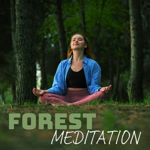 Forest Meditation: Buddhist Tradition Meditation for Focus - Nature Sounds Paradise