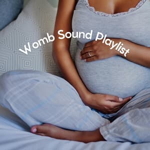 Womb Sound Playlist - Womb Sound