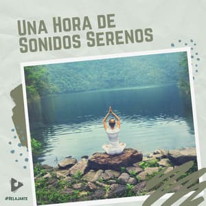1 Hora de Sonidos Serenos - #Relajante
