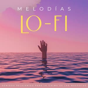 Melodías Lofi: Sonidos Relajantes Para La Calma De Las Mascotas - Relájate Hip Hop