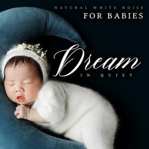 Dream in Quiet - Natural White Noise for Babies