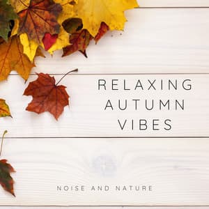 Relaxing Autumn Vibes - Noise and Nature