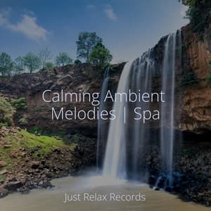 Calming Ambient Melodies | Spa - Spa & Spa