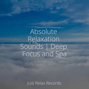 Absolute Relaxation Sounds | Deep Focus and Spa - Bedtime Baby