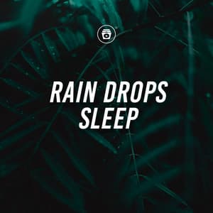 Rain Drops Sleep - Heavy Rain Sounds