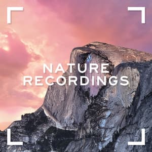 Nature Recordings - ASMR Earth