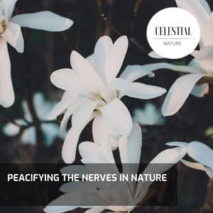 Peacifying the Nerves in Nature - Nature Radiance