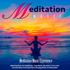 Meditation Music: Relaxing Music for Meditation, Yoga Music, Spa Music, Focus and Concentration and Calm Piano Sleeping Music for Relaxation - Meditation Music Experience