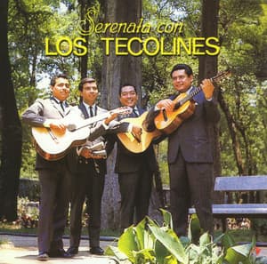 Serenata con Los Tecolines - Los Tecolines