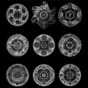 Memoria - John Zorn