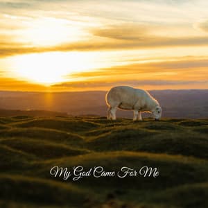 My God Came For Me - Praise and Worship Orchestra