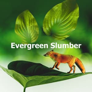 Evergreen Slumber - Crickets - Tinnitus Sleep Solution