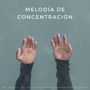 Melodía De Concentración: Una Mezcla Lofi Tranquila Para Un Aprendizaje Mejorado - LatinoFi