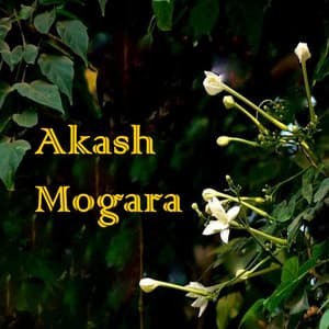 Akash Mogara - Chaitanya Kunte