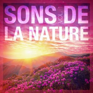 Sons de la nature, vol. 1 - Musique et sons naturels