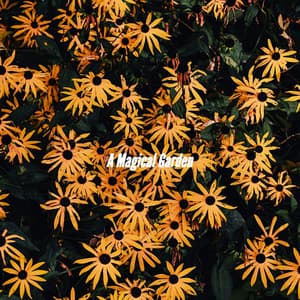 A Magical Garden - Relaxing Piano Music Cool